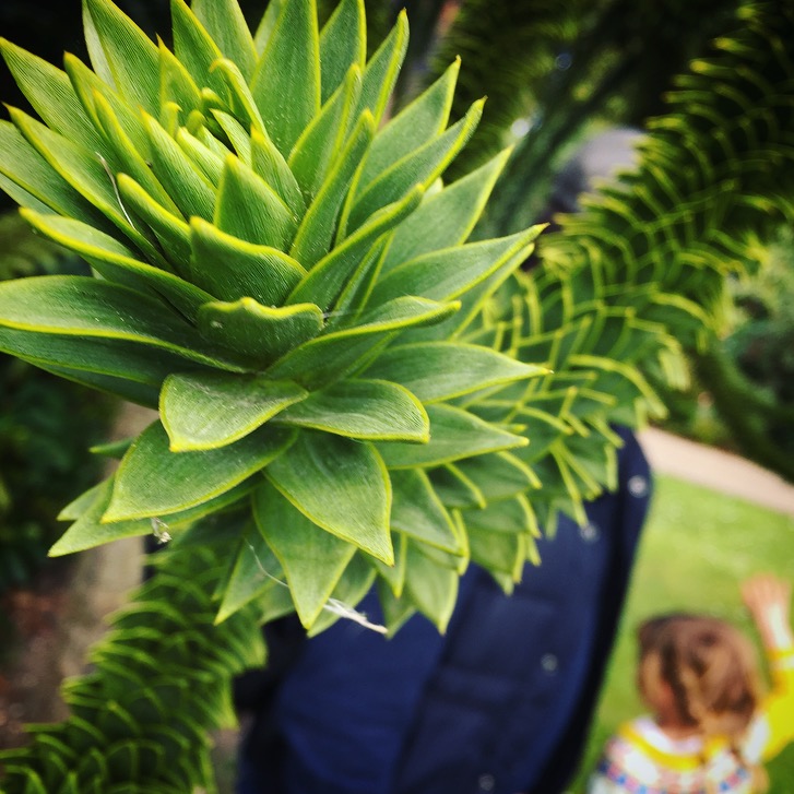 Exbury Gardens Review