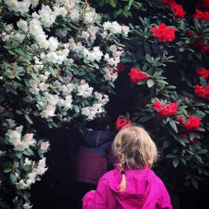 Exbury Gardens Review