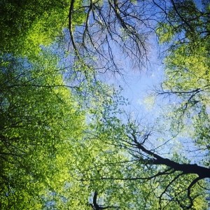 spontaneous pneumothorax