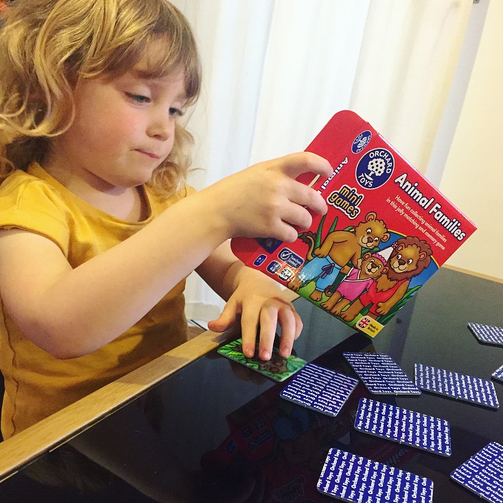 Orchard Toys Animal Families Review