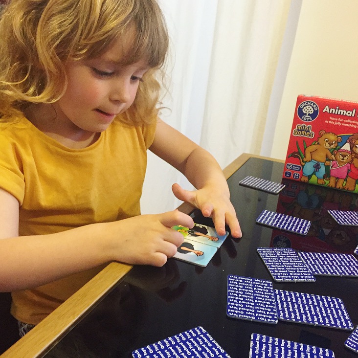 Orchard Toys Animal Families Review