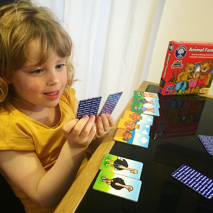 Orchard Toys Animal Families Review