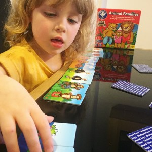 Orchard Toys Animal Families Review
