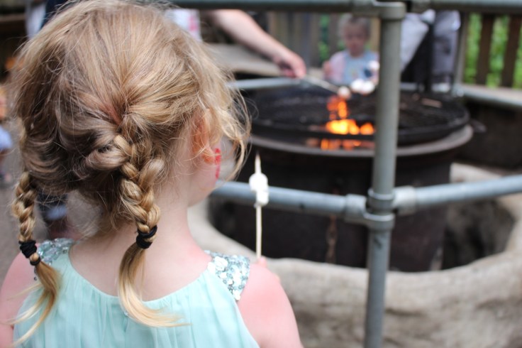 Camp Smokey at Bluestone Review