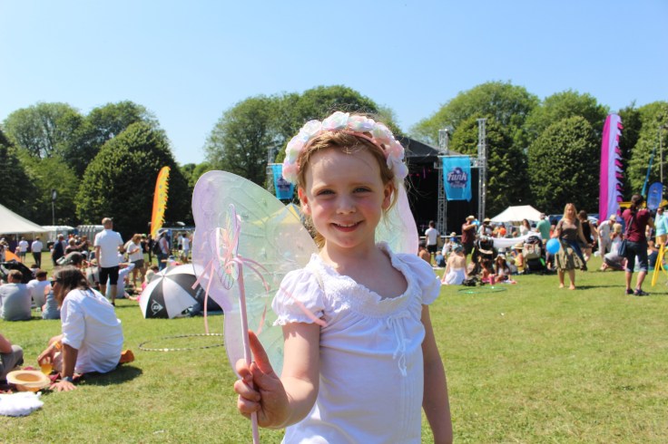 Funk the Family Review 2017