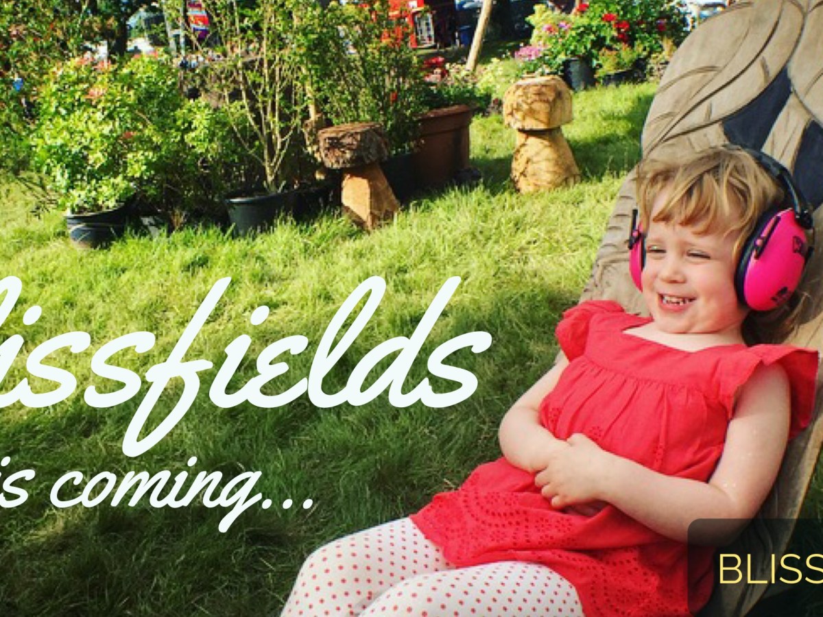 The Bizarre at Blissfields in&nbsp;Hampshire