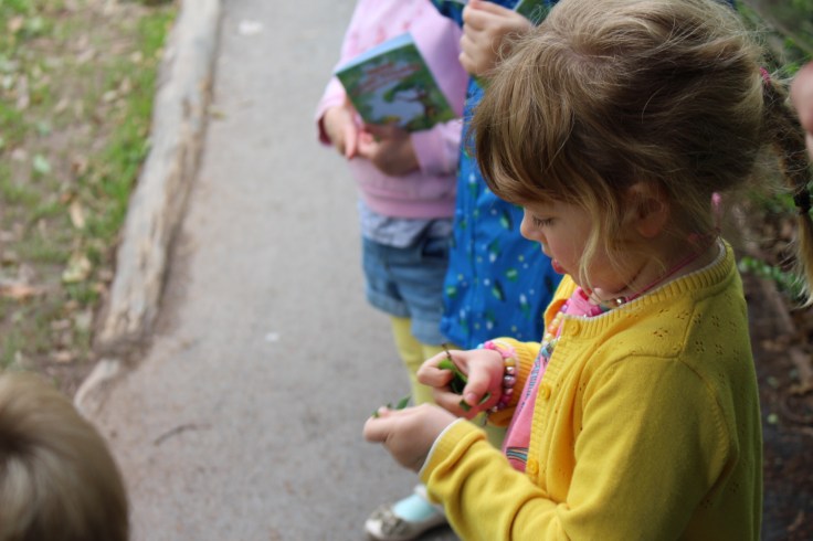 Fairies at Bluestone Wales