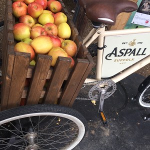 Jimmy's Festival Review 2017