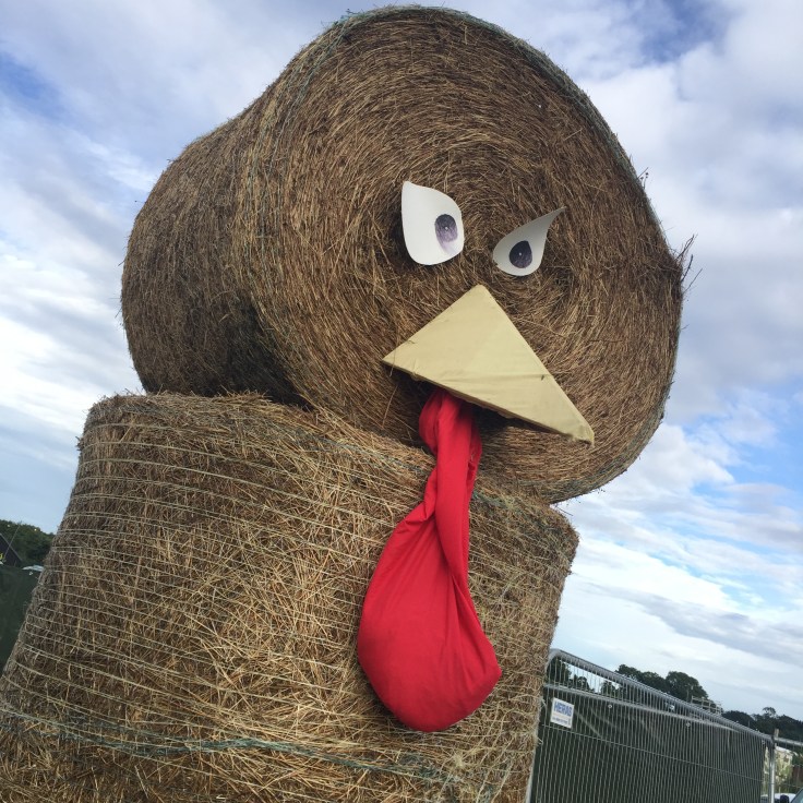 Jimmy's Festival Campsite entertainment