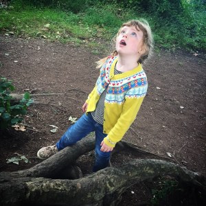 The Gruffalo and Friends at Mottisfont