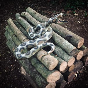 The Gruffalo and Friends at Mottisfont