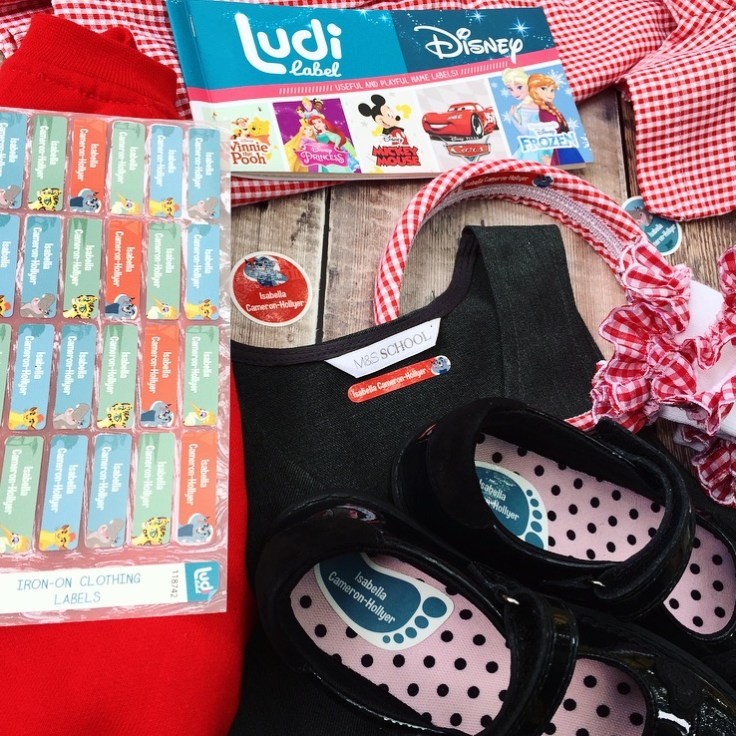 Ludi School Labels Review