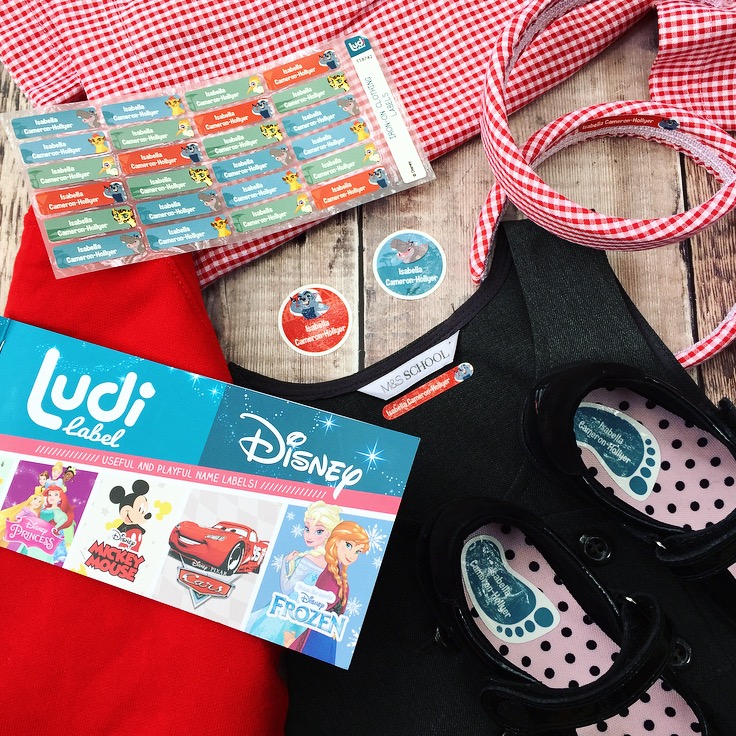 Ludi School Labels Review