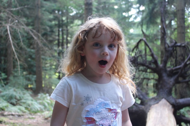 Gruffalo Trail at Bolderwood, New Forest
