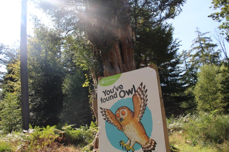 Gruffalo Trail at Bolderwood, New Forest