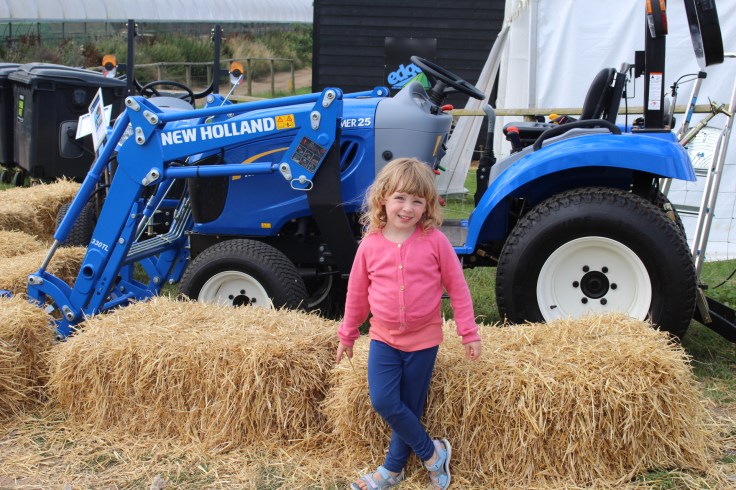 Jimmy's Festival Review 2017