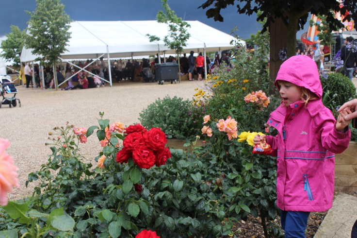 Jimmy's Festival Review 2017