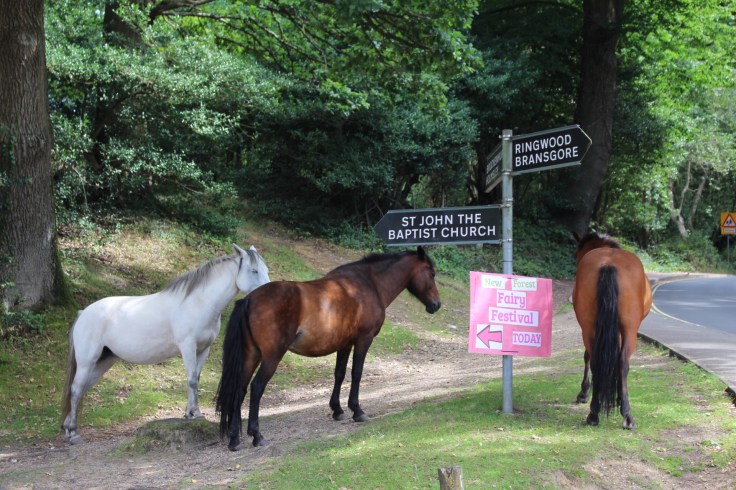 New Forest Fairy Festival 2017 Review
