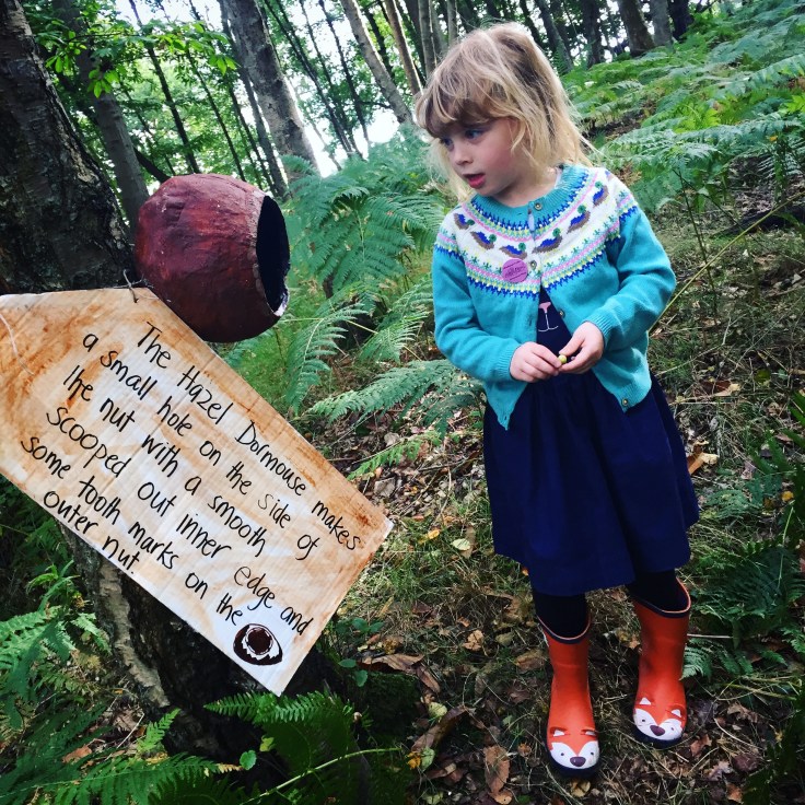 Into The Trees Festival 2017 Review