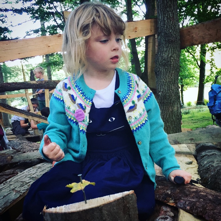 Into The Trees Festival 2017 Review