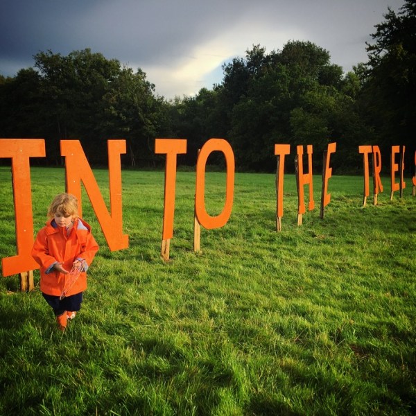 Into The Trees Festival Review
