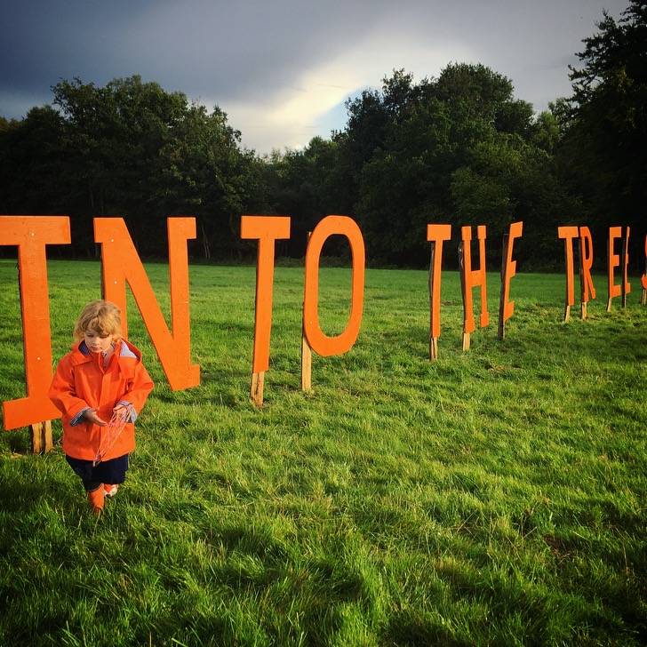 Into The Trees Festival Review