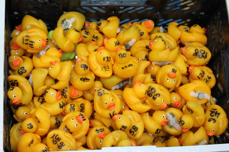 Overton Duck Race