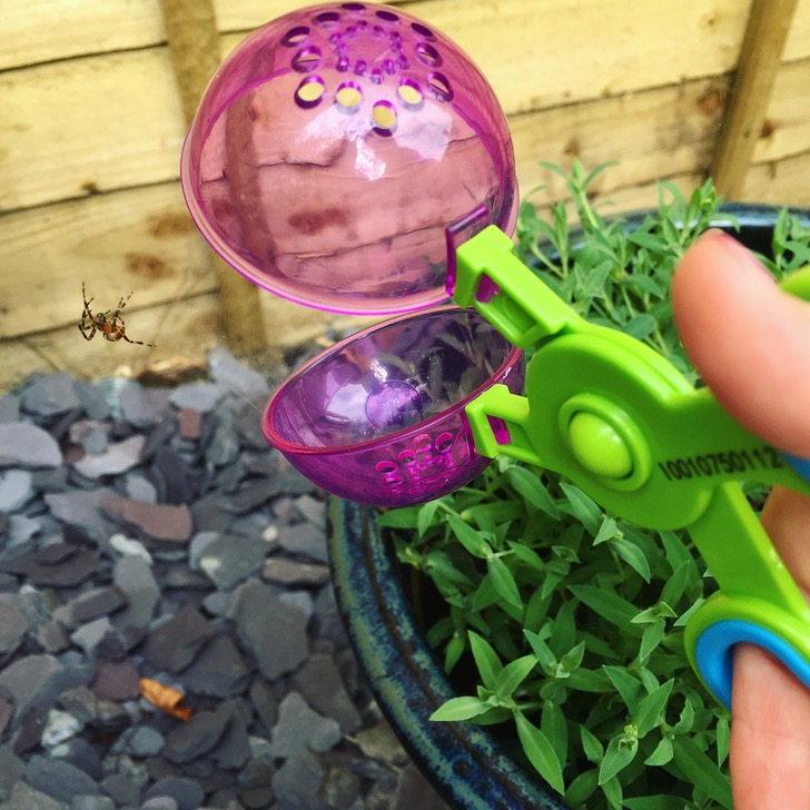 Outdoor Discovery Set Review