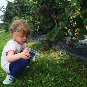 Outdoor Discovery Set Review