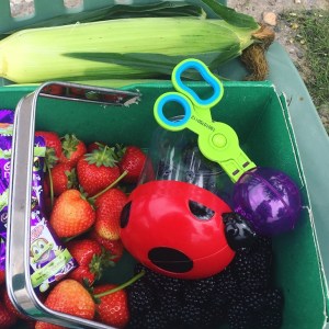 Outdoor Discovery Set Review