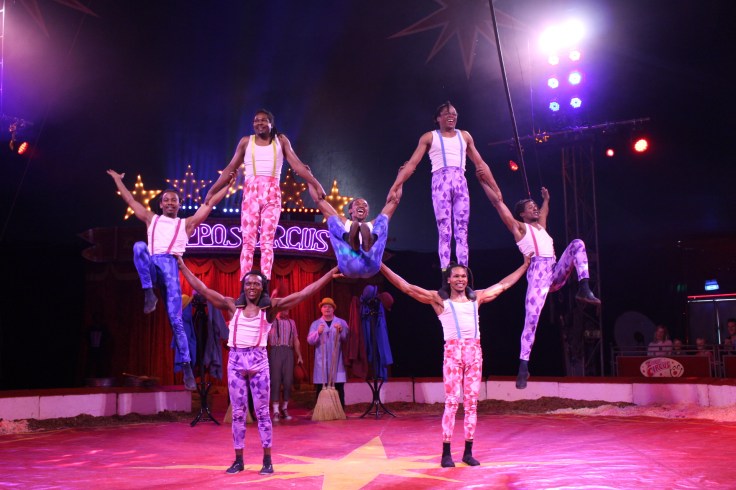 Zippo's Circus Review