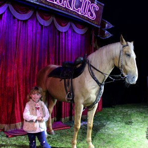 Zippo's Circus Review