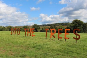 Into The Trees Festival Review