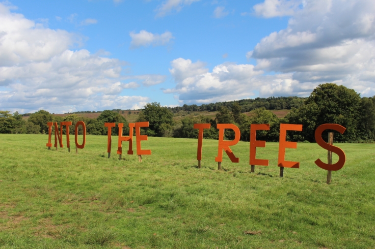 Into The Trees Festival Review 