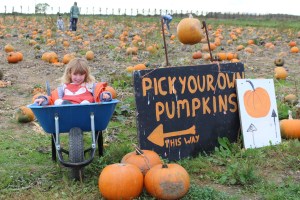 Halloween at Pickwell Farm
