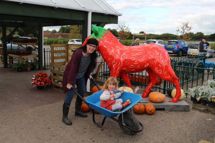 Halloween at Pickwell Farm