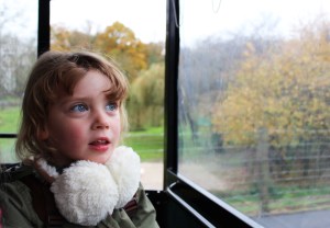 Christmas at Marwell 2017 Review