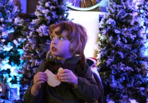 Christmas at Marwell 2017 Review