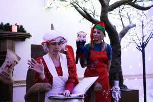 Christmas at Marwell 2017 Review