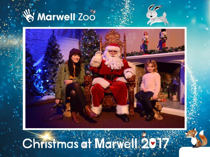 Christmas at Marwell 2017 Review