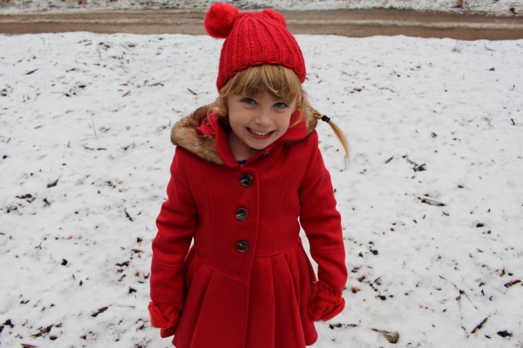 LaplandUK Review 2017