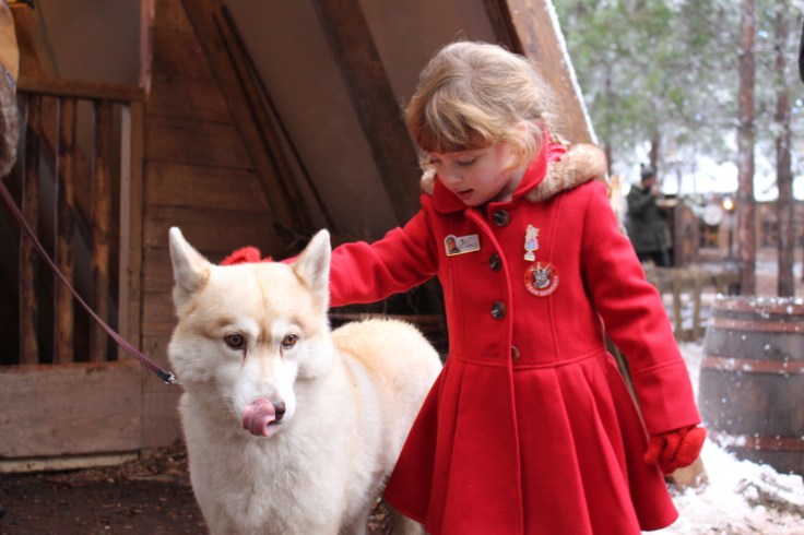 LaplandUK Review 2017