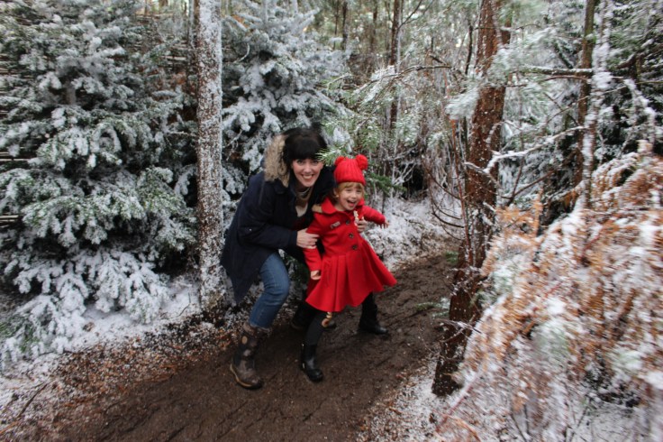 LaplandUK Review 2017