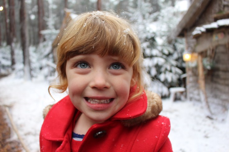 LaplandUK Review 2017