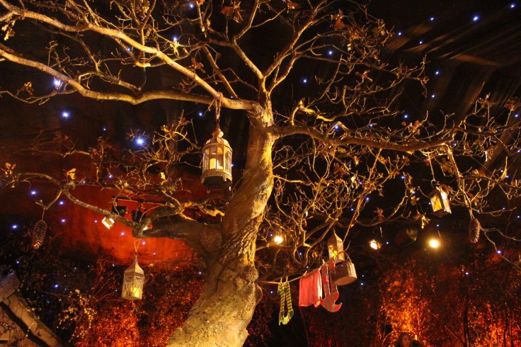 LaplandUK Review 2017