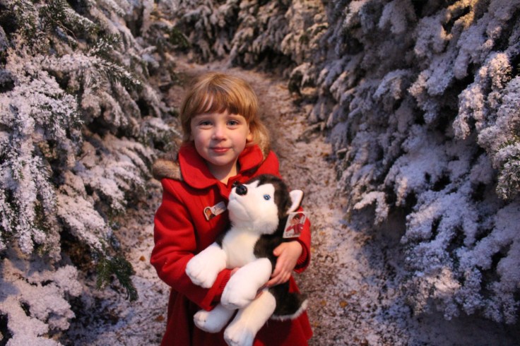 LaplandUK Review 2017