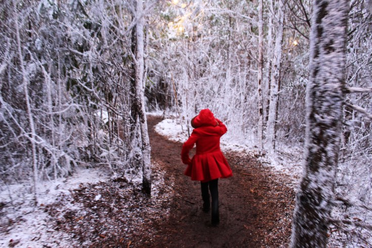 LaplandUK Review 2017