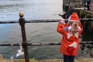 Fowey Bloggers Review