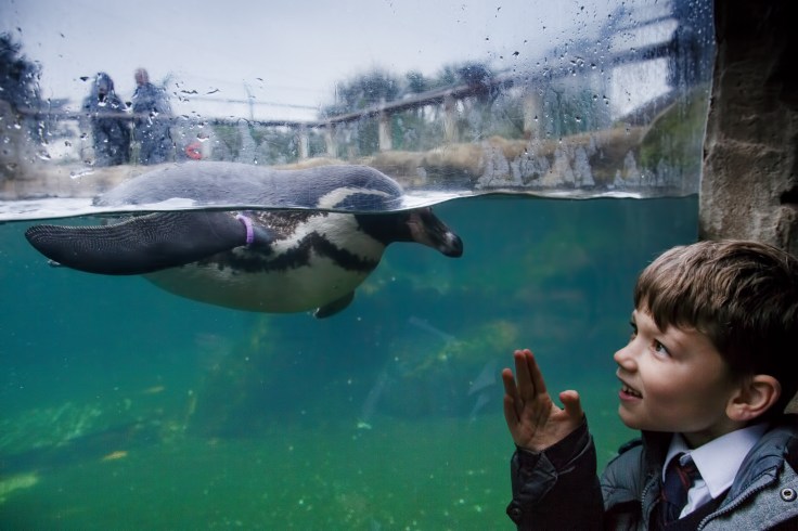 Weymouth SEA LIFE Adventure Park