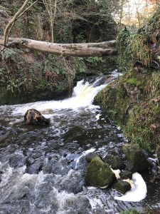 Glenoe Waterfall Photos